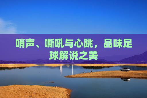 哨声、嘶吼与心跳,品味足球解说之美