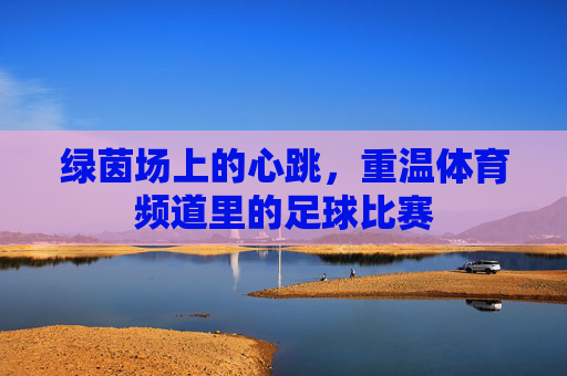 绿茵场上的心跳，重温体育频道里的足球比赛