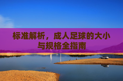 标准解析，成人足球的大小与规格全指南