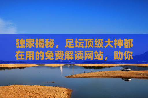独家揭秘，足坛顶级大神都在用的免费解读网站，助你洞悉赛场风云