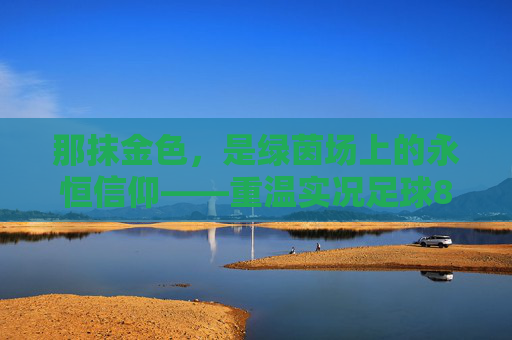那抹金色,是绿茵场上的永恒信仰——重温实况足球8