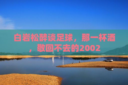 白岩松醉谈足球,那一杯酒,敬回不去的2002