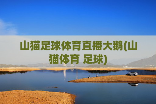 山猫足球体育直播大鹅(山猫体育 足球)