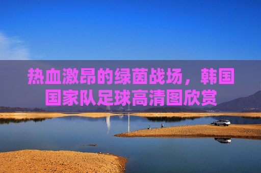 热血激昂的绿茵战场，韩国国家队足球高清图欣赏