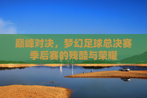 巅峰对决，梦幻足球总决赛季后赛的残酷与荣耀