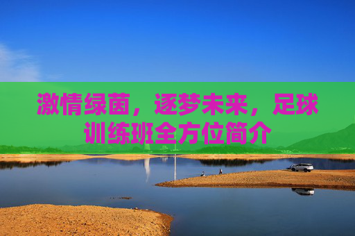 激情绿茵，逐梦未来，足球训练班全方位简介