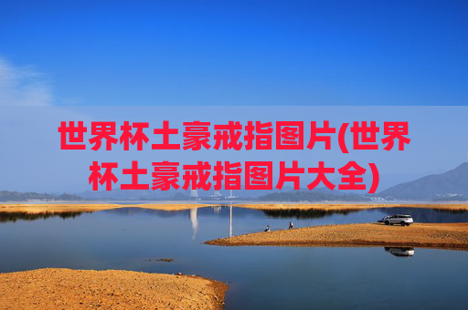 世界杯土豪戒指图片(世界杯土豪戒指图片大全)