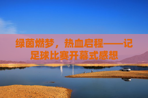 绿茵燃梦，热血启程——记足球比赛开幕式感想