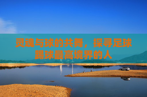 灵魂与球的共舞，探寻足球踢球最高境界的人