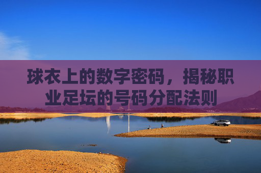 球衣上的数字密码,揭秘职业足坛的号码分配法则