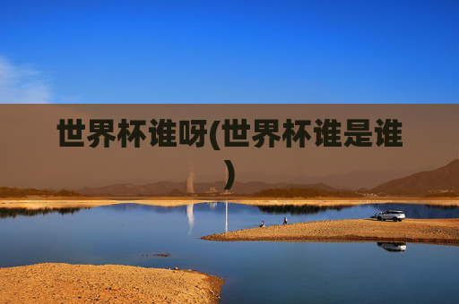 世界杯谁呀(世界杯谁是谁)