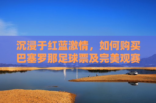 沉浸于红蓝激情，如何购买巴塞罗那足球票及完美观赛指南
