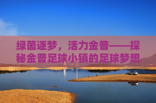 绿茵逐梦,活力金普——探秘金普足球小镇的足球梦想与城市新名片