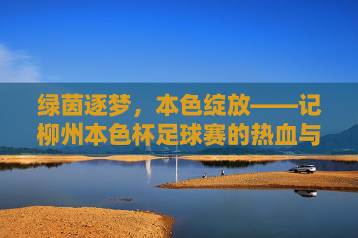 绿茵逐梦,本色绽放——记柳州本色杯足球赛的热血与激情