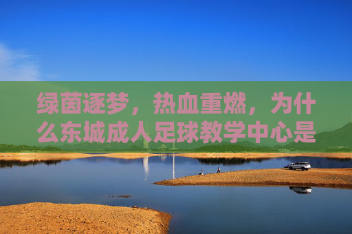 绿茵逐梦，热血重燃，为什么东城成人足球教学中心是你的最佳选择？