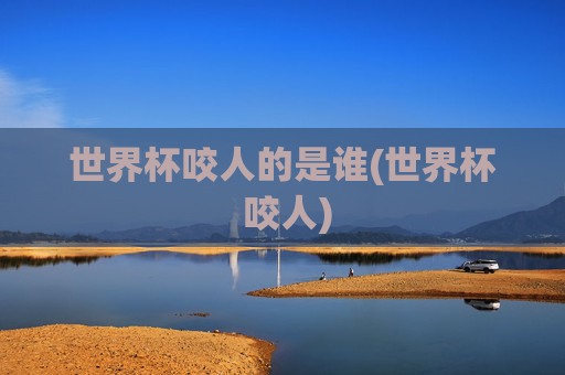 世界杯咬人的是谁(世界杯 咬人)