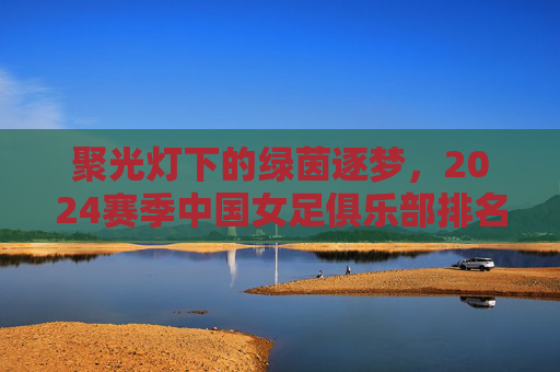 聚光灯下的绿茵逐梦，2024赛季中国女足俱乐部排名深度解析