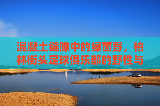 混凝土缝隙中的绿茵野，柏林街头足球俱乐部的野性与自由