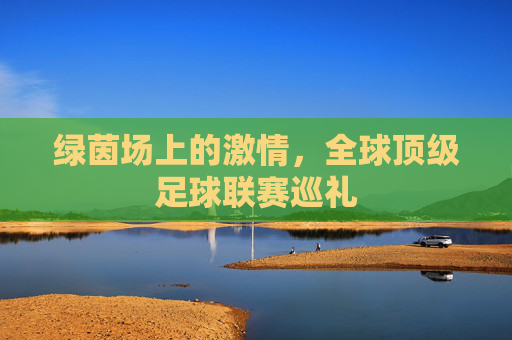 绿茵场上的激情,全球顶级足球联赛巡礼
