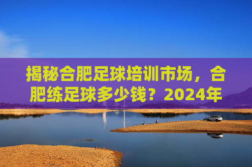 揭秘合肥足球培训市场，合肥练足球多少钱？2024年最新行情全解析