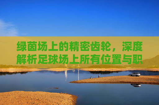绿茵场上的精密齿轮,深度解析足球场上所有位置与职责