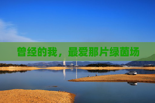 曾经的我，最爱那片绿茵场