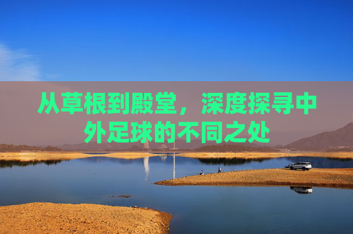 从草根到殿堂,深度探寻中外足球的不同之处