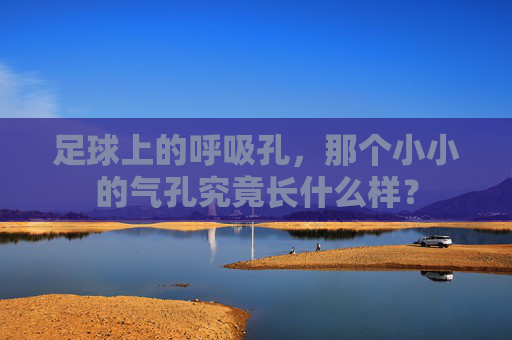 足球上的呼吸孔，那个小小的气孔究竟长什么样？
