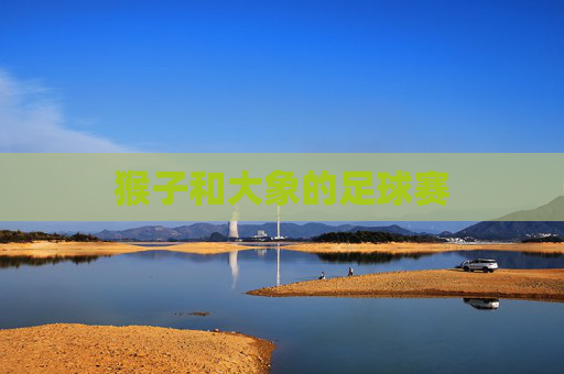 猴子和大象的足球赛