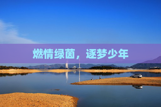 燃情绿茵，逐梦少年