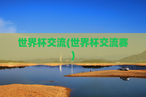 世界杯交流(世界杯交流赛)
