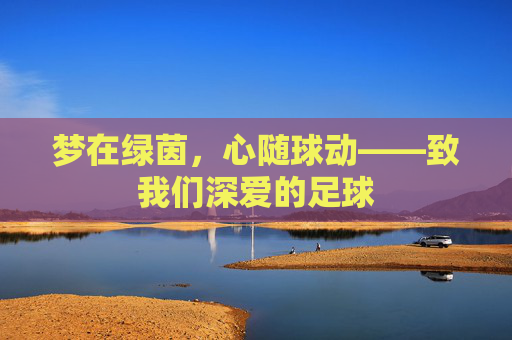 梦在绿茵,心随球动——致我们深爱的足球