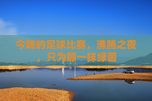 今晚的足球比赛，沸腾之夜，只为那一抹绿茵