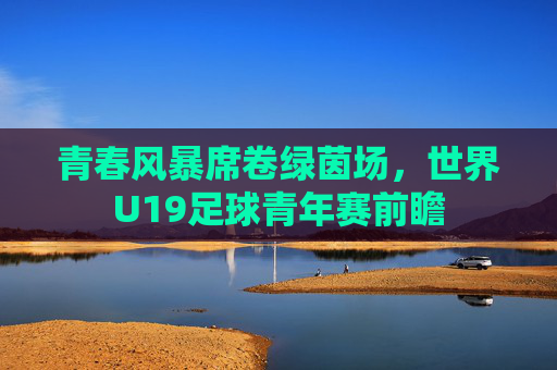 青春风暴席卷绿茵场，世界U19足球青年赛前瞻