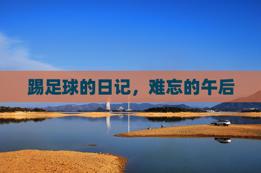 踢足球的日记，难忘的午后