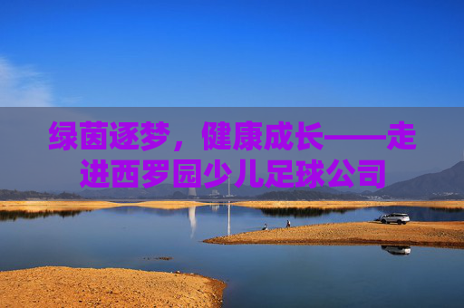 绿茵逐梦，健康成长——走进西罗园少儿足球公司