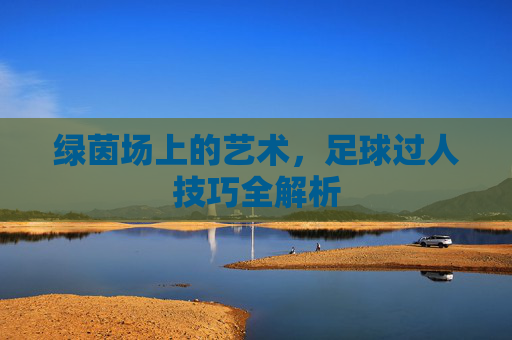 绿茵场上的艺术,足球过人技巧全解析