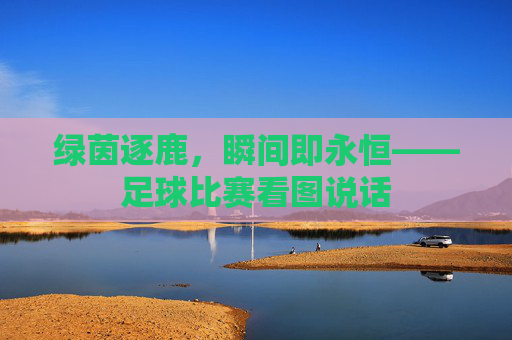绿茵逐鹿，瞬间即永恒——足球比赛看图说话