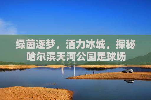 绿茵逐梦，活力冰城，探秘哈尔滨天河公园足球场