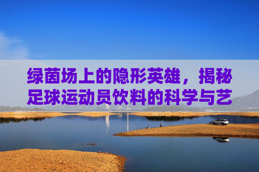 绿茵场上的隐形英雄,揭秘足球运动员饮料的科学与艺术