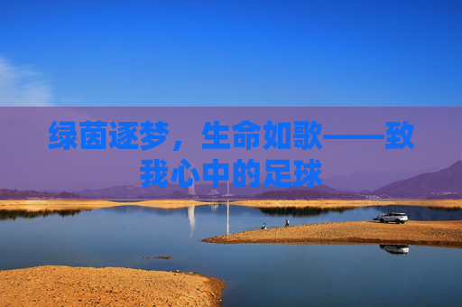 绿茵逐梦,生命如歌——致我心中的足球