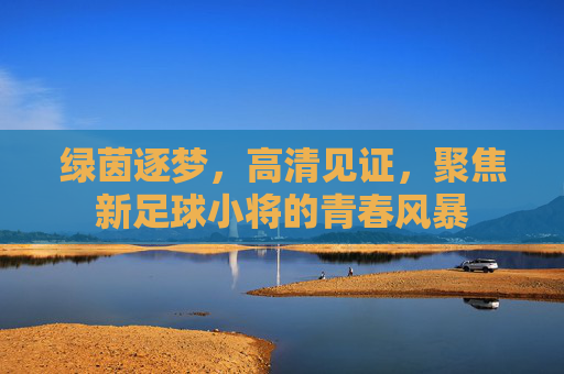 绿茵逐梦,高清见证,聚焦新足球小将的青春风暴