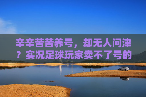 辛辛苦苦养号，却无人问津？实况足球玩家卖不了号的深层困局