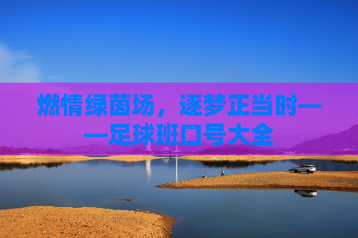 燃情绿茵场，逐梦正当时——足球班口号大全