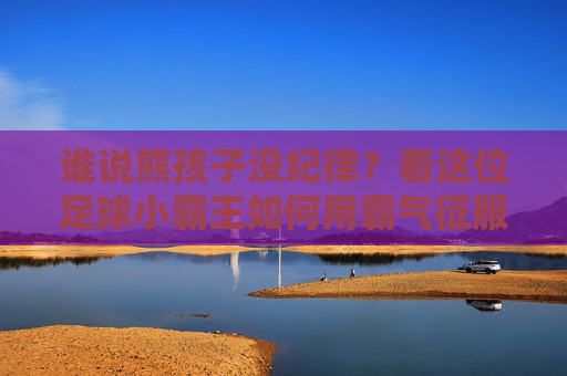 谁说熊孩子没纪律？看这位足球小霸王如何用霸气征服全场！