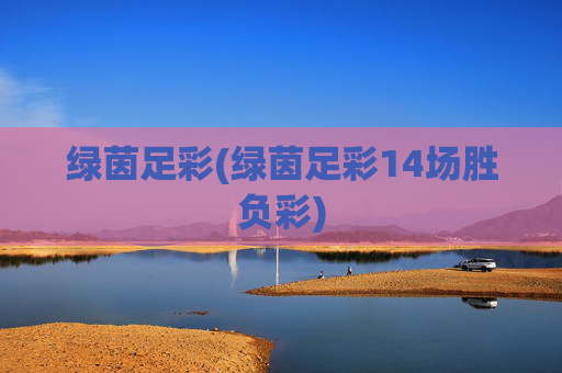 绿茵足彩(绿茵足彩14场胜负彩)
