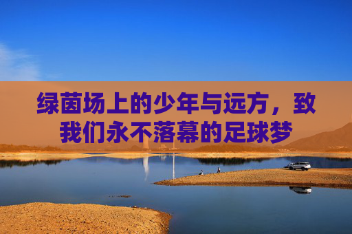 绿茵场上的少年与远方,致我们永不落幕的足球梦