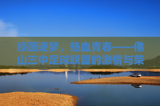绿茵逐梦，热血青春——佛山三中足球联盟的激情与荣耀