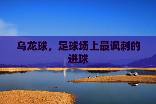乌龙球，足球场上最讽刺的进球