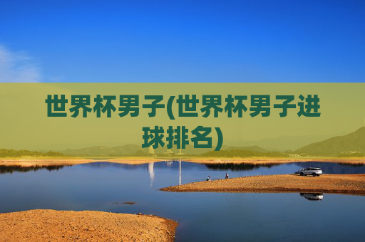 世界杯男子(世界杯男子进球排名)